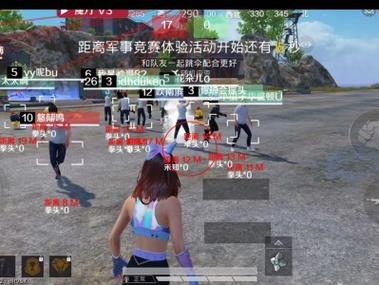<strong>和平精英大黄蜂外挂下载</strong>